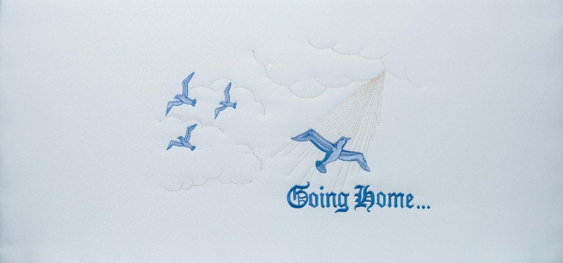 Going Home Blue